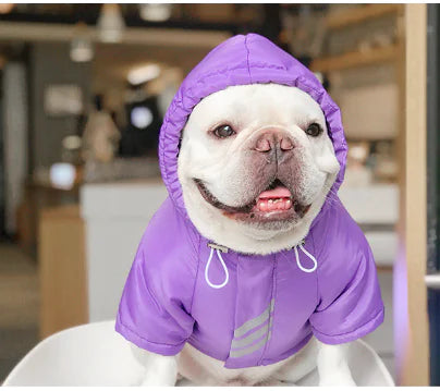 Dog Winter Cotton Clothes for Warmth and Comfort - Pawluxe