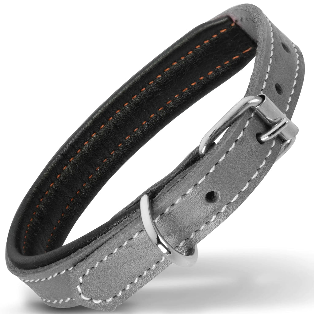 Filbert Leather Dog Collar Genuine Leather Collar for Small Dogs Premium Gray Leather Dog Collar Luxury Padded Leather Dog Collar Strong Collar for Dogs
