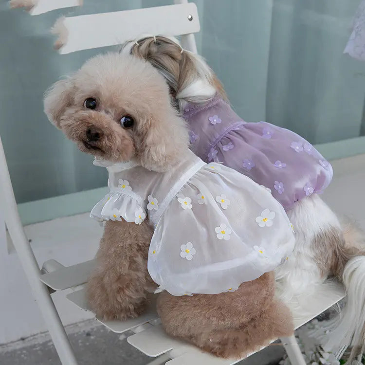 3D Flower Gauze Skirt for Dog Clothes - Pawluxe