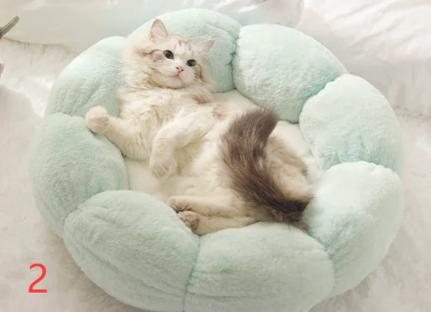 Calming Indoor Pet Beds