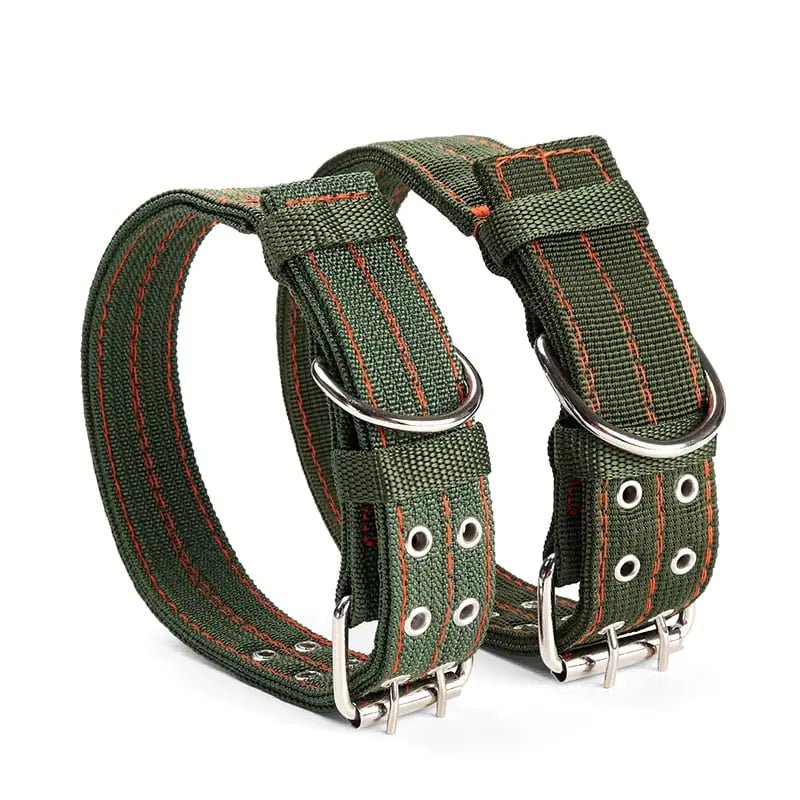 Dog Collar