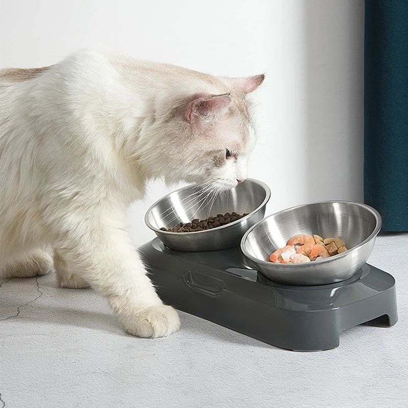 Easy To Clean Stainless Steel Cat Bowl Dog Food And Water Bowls With Stand Metal Cats Dogs Double Single Pet Feeding Feeder Bowl - Pawluxe