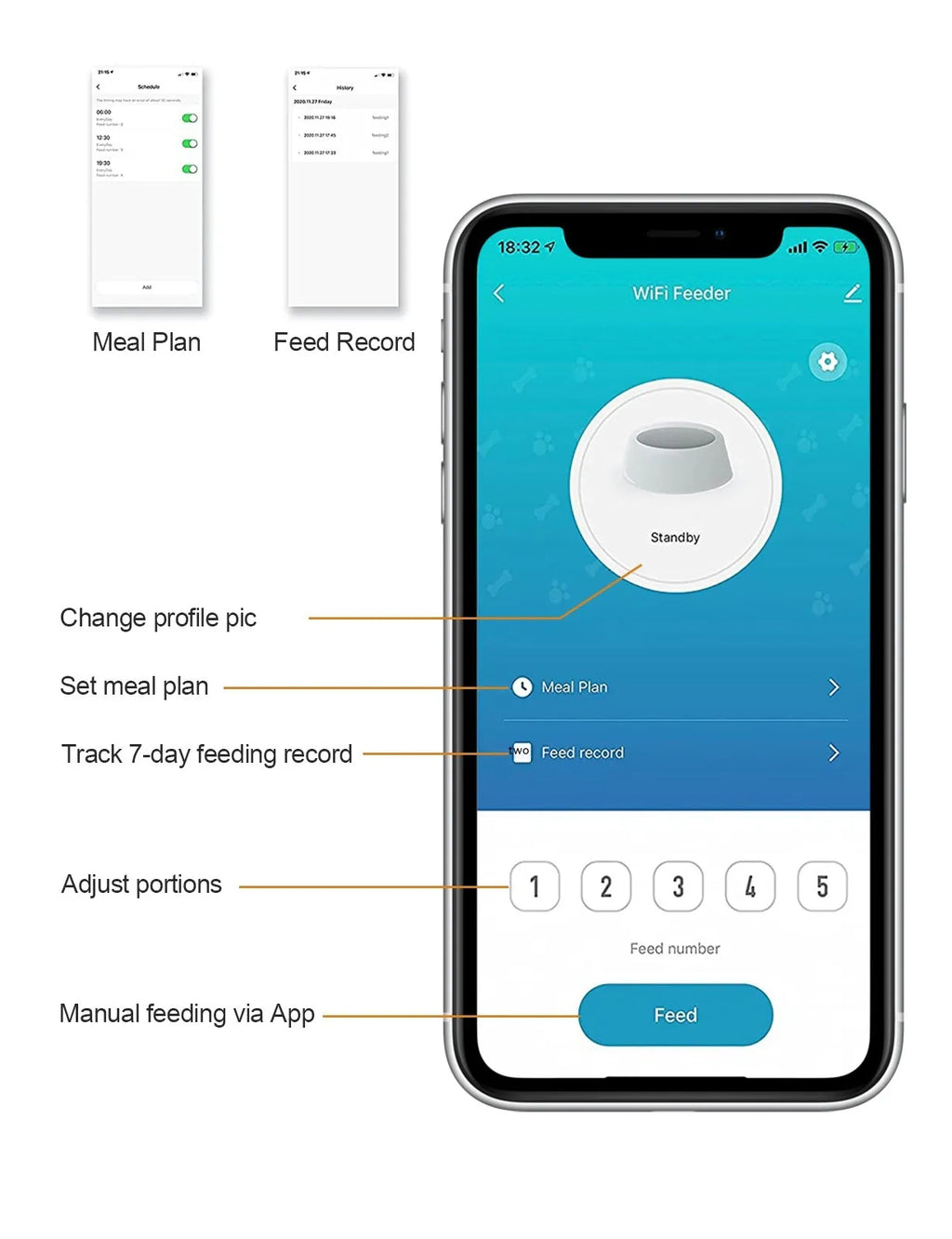 Cat Smart Dog Automatic Pet Feeder - Pawluxe