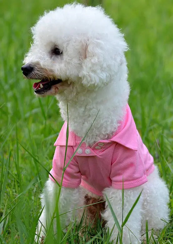 Lightweight Breathable Dog Vest for Comfort - Pawluxe