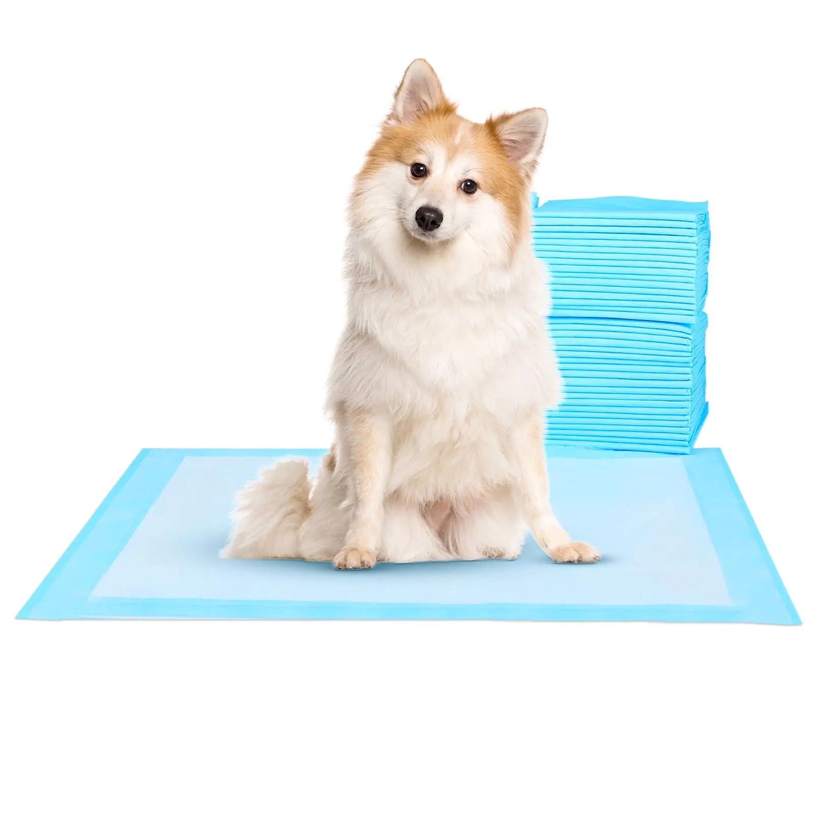 Super-Absorbent Waterproof Dog and Puppy Pet Training Pad Housebreaking Pet PadBlue (28"X30"(100PCS)) - Pawluxe