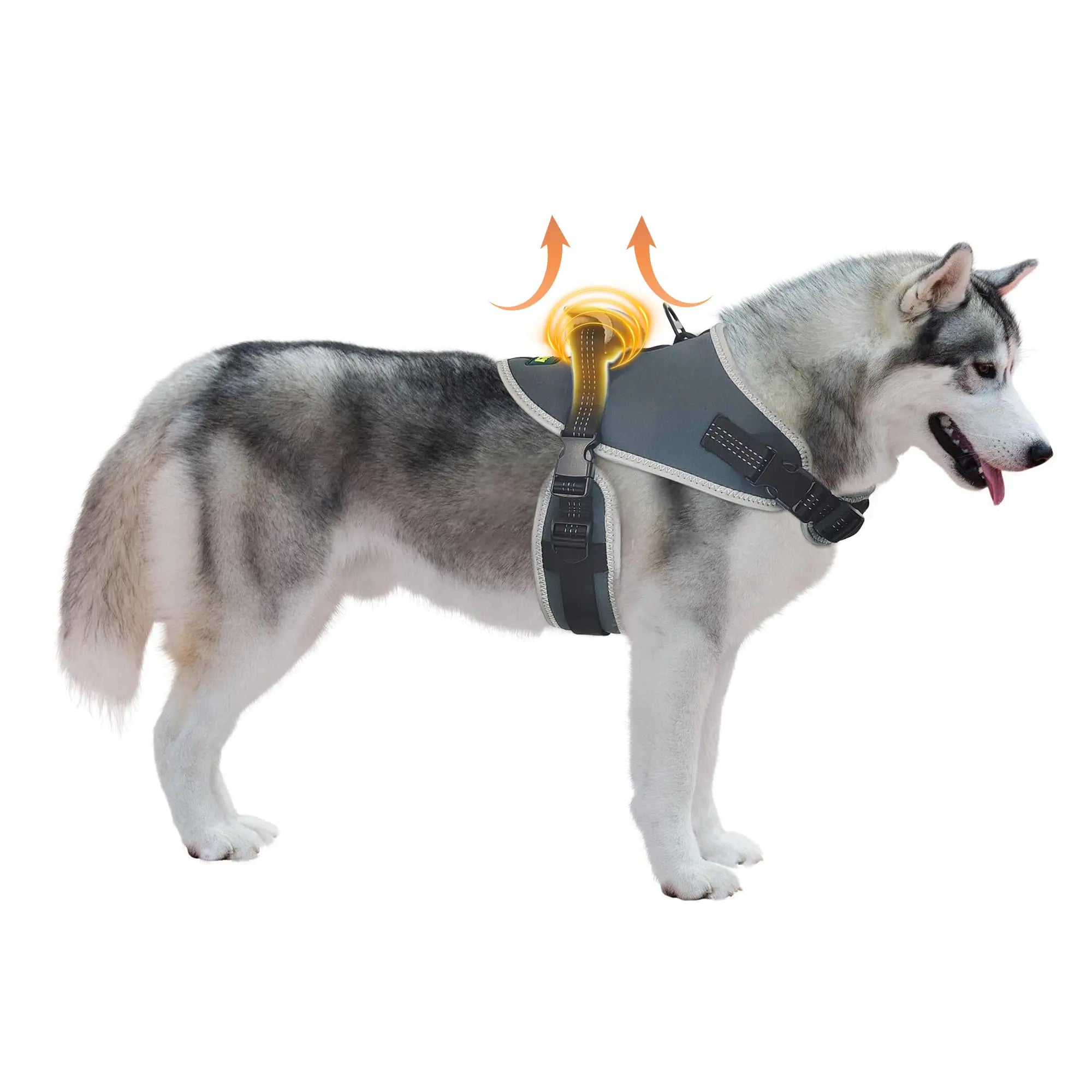 KISFLY Dog Harness No Pull Dog Harness with Reflective No Choke Pet Vest Adjustable Soft Padded Dog Vest Dog Walking and Training Harness Small Dog Harness with Handle Gray S