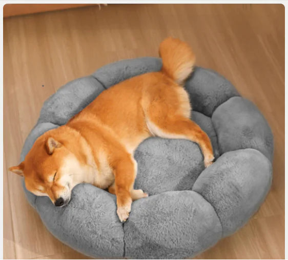 Calming Indoor Pet Beds - Pawluxe