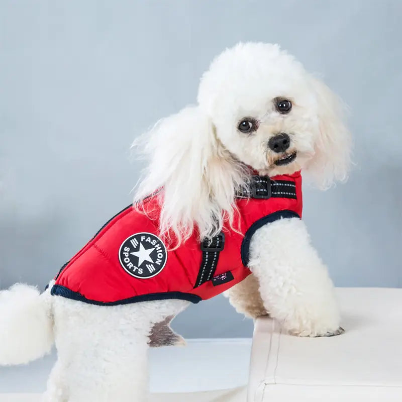 Comfortable and Warm Plush Thick Dog Clothes - Pawluxe