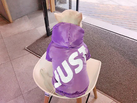 Dog Winter Cotton Clothes for Warmth and Comfort - Pawluxe