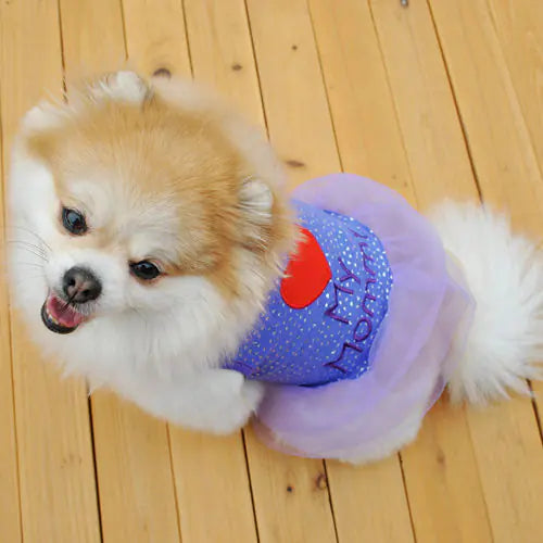 Embroidered Pet Dog Clothes and Skirts - Pawluxe