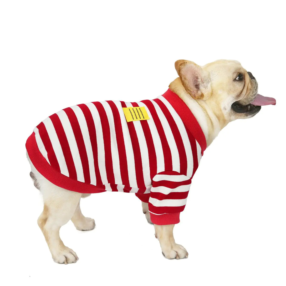 Striped Bullfighting Sweater for Dogs - Fall/Winter Coat - Pawluxe