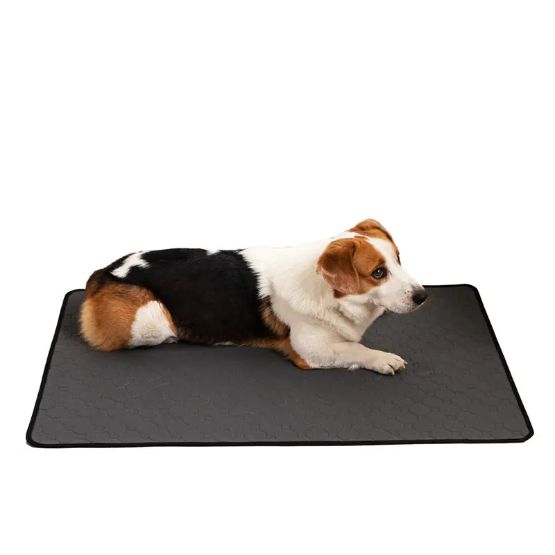Pet Training Pads for Repeated Water Absorption - Pawluxe