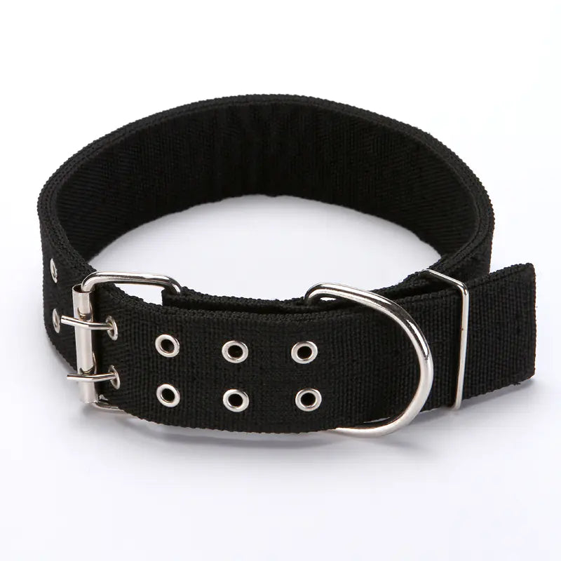 Dog Collar