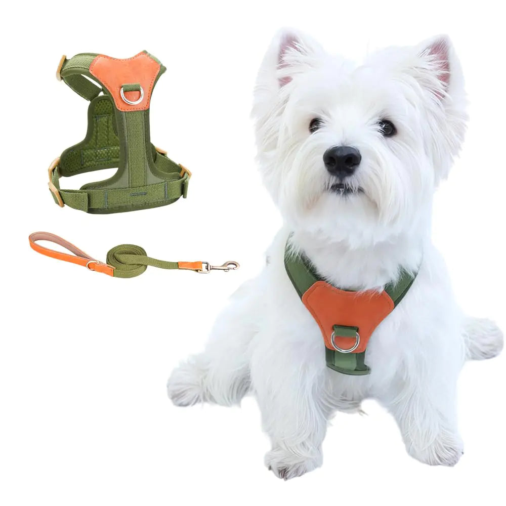 CHUNFENGX No Pull Dog Harness and Leash Set Front Clip Dog Harness Medium Sized Dog Training Harness Easy Walk Dog Harness for Small Medium Dog Harness (Green XS) - Pawluxe