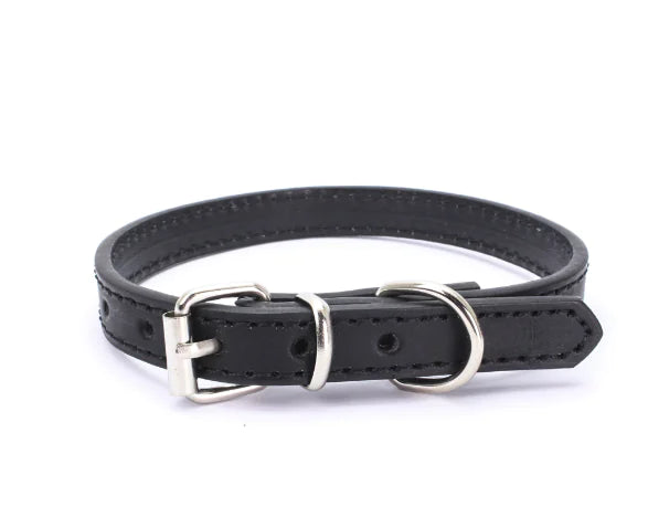 Dog Collar (Single Item)