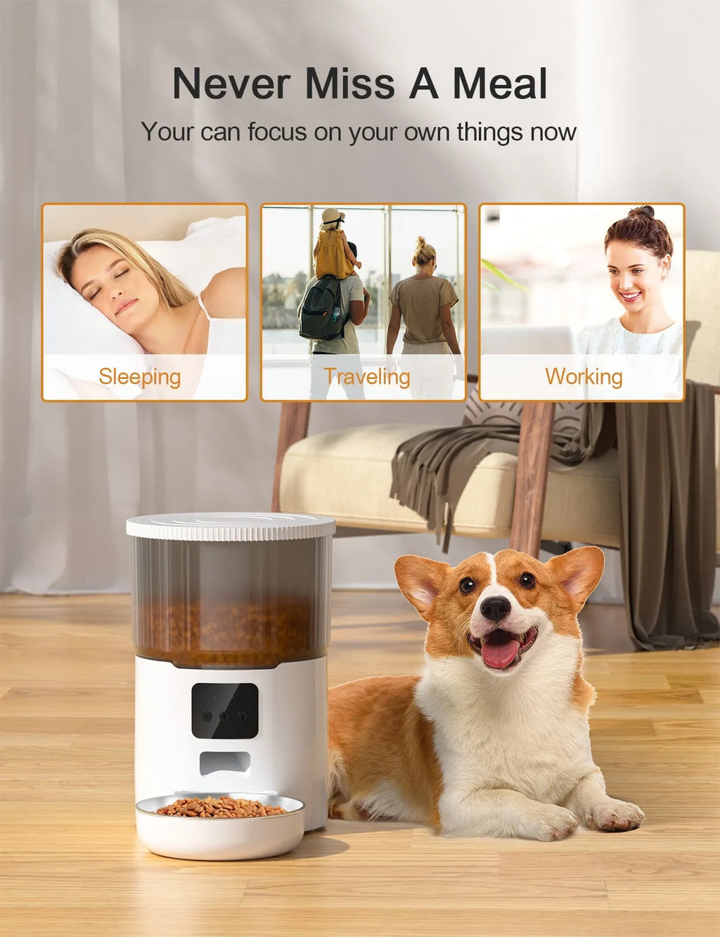 Cat Smart Dog Automatic Pet Feeder - Pawluxe