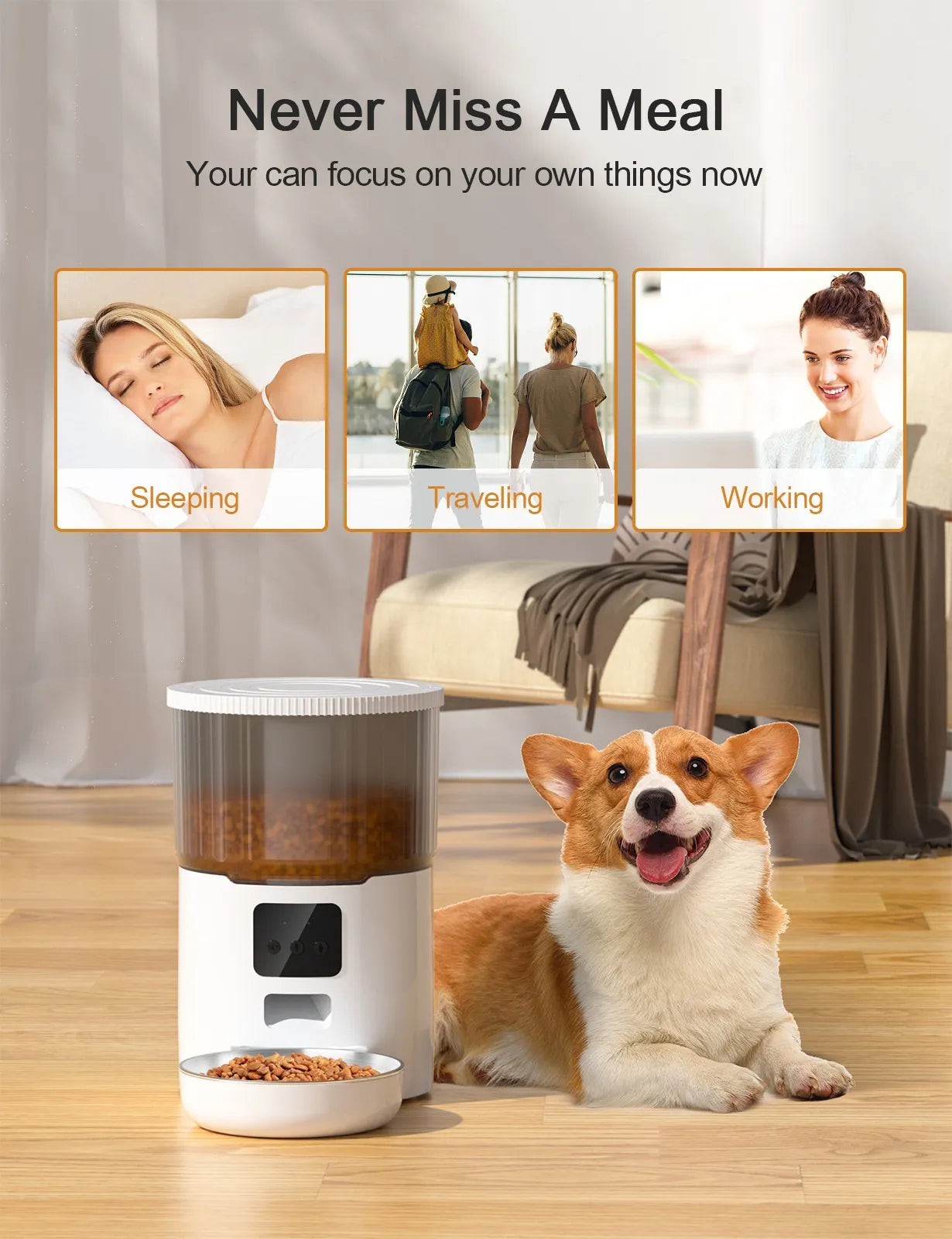 Cat Smart Dog Automatic Pet Feeder - Pawluxe