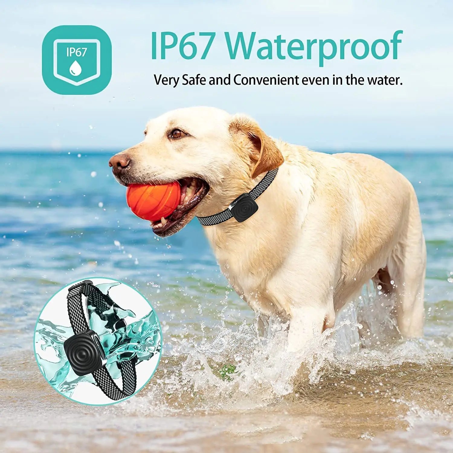 Smart Bark Stopper - Pet Training Device - Pawluxe