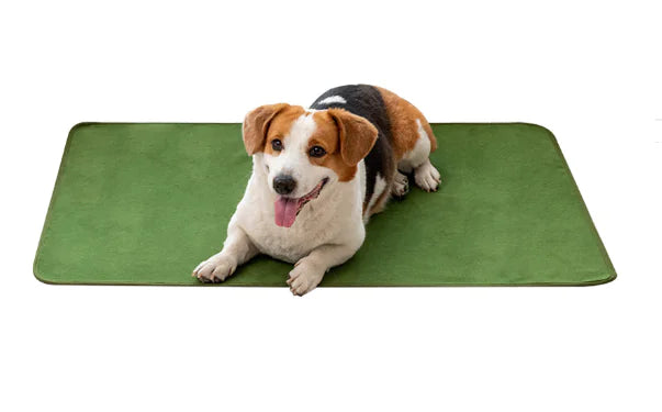 Pet Training Pads for Repeated Water Absorption - Pawluxe