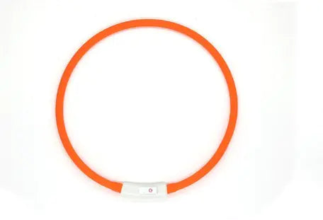 LED Fashion Dog Collar