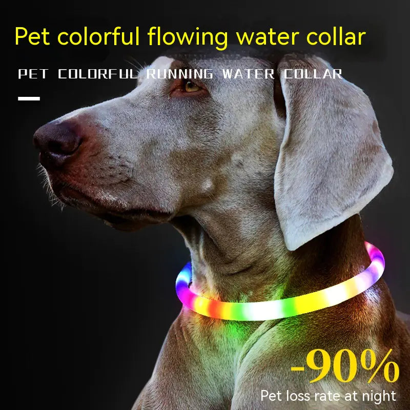 LED Fashion Dog Collar