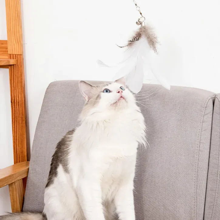 Cat Strong Suction Cup Rod - Pawluxe