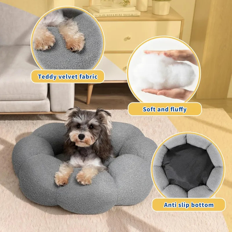 Calming Indoor Pet Beds - Pawluxe