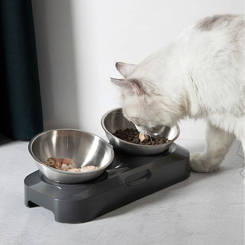 Easy To Clean Stainless Steel Cat Bowl Dog Food And Water Bowls With Stand Metal Cats Dogs Double Single Pet Feeding Feeder Bowl - Pawluxe