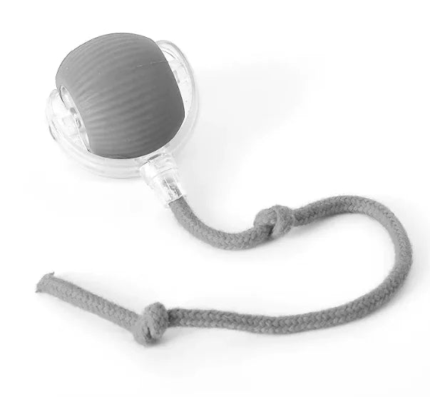 PurrPlay Self-Rolling Cat Toy Ball - Pawluxe