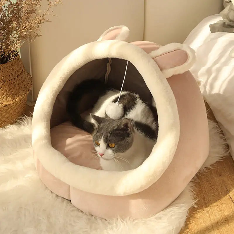 Purr-Fect Cat Bed - Pawluxe