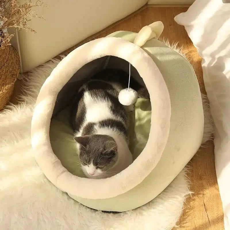 Purr-Fect Cat Bed - Pawluxe