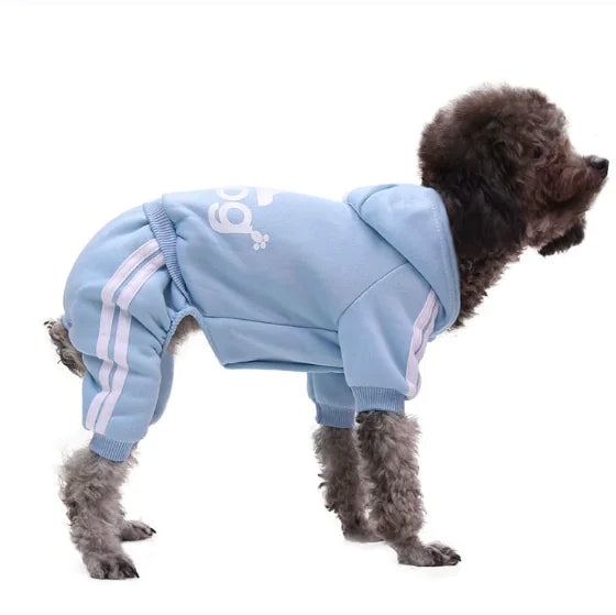 Casual warm Dog clothes - Pawluxe
