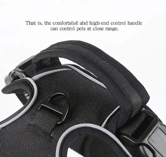 Pet Harness Vest - Pawluxe