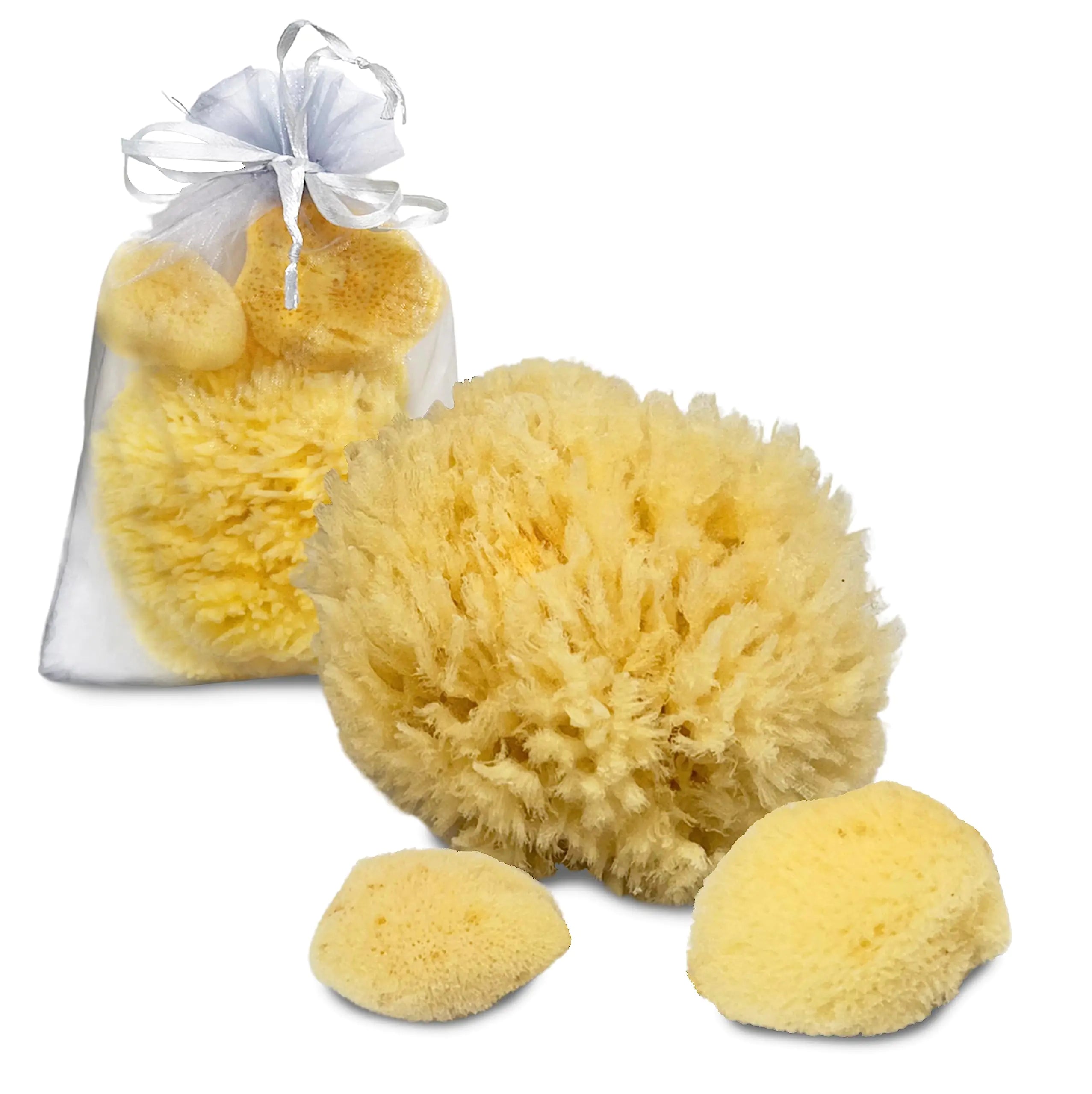 Constantia Pets Sea Sponges for Dogs - Luxury Canine Bath Care for Pet Grooming Soft & Gentle Pampering - Pawluxe
