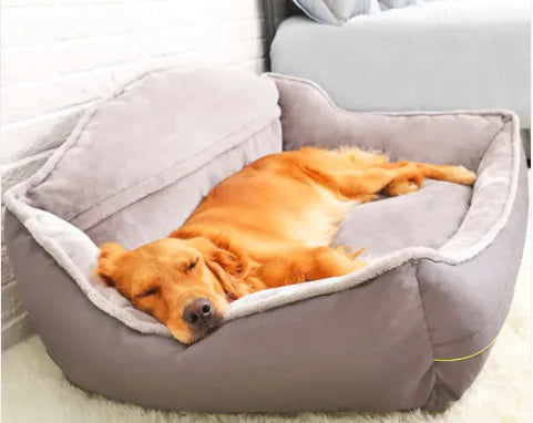 Sofa Dog Bed - Pawluxe