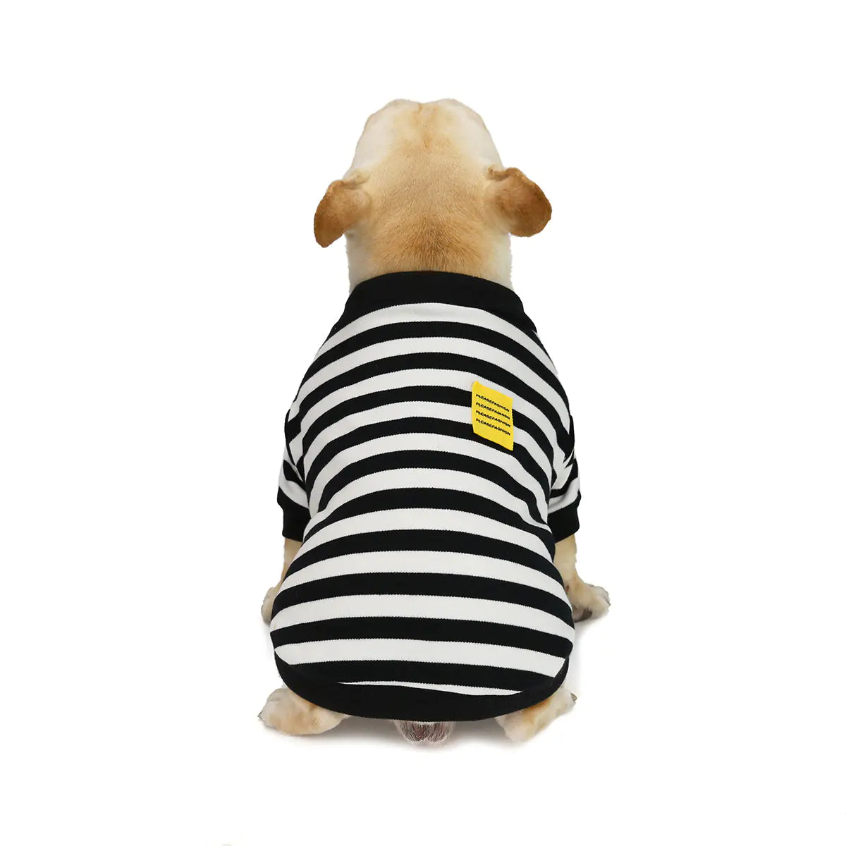 Striped Bullfighting Sweater for Dogs - Fall/Winter Coat - Pawluxe