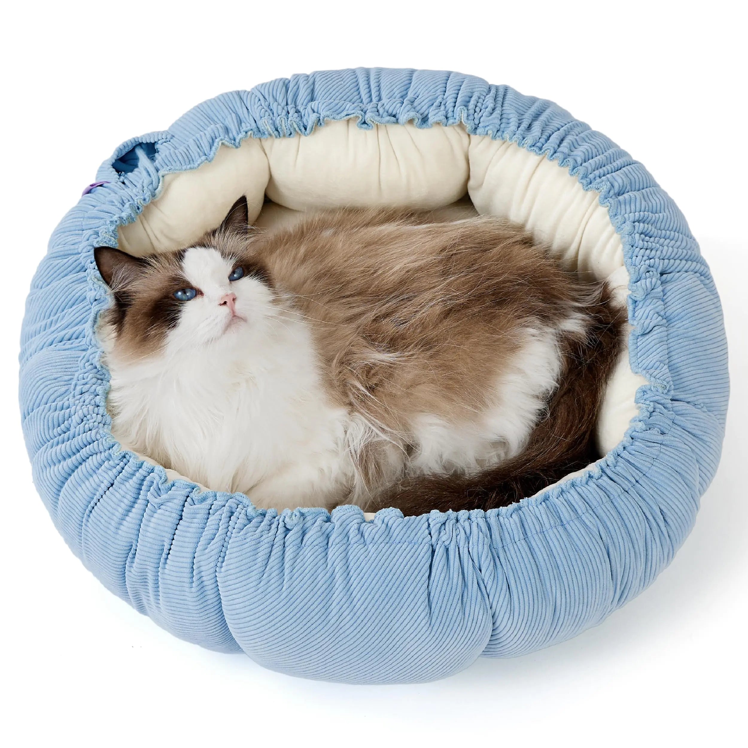 Lesure Cat Beds for Indoor Cats - Washable Cute Cat Beds with Versatile Dual-Use Design Reversible Donut Pet Bed for Puppy and Kitten 21x21x7 Inches - Pawluxe