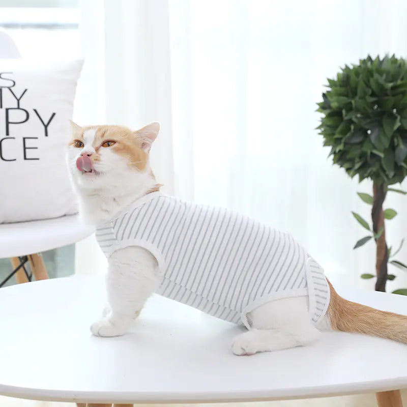 Four Seasons Thin Cat Clothes for Weaning - Pawluxe