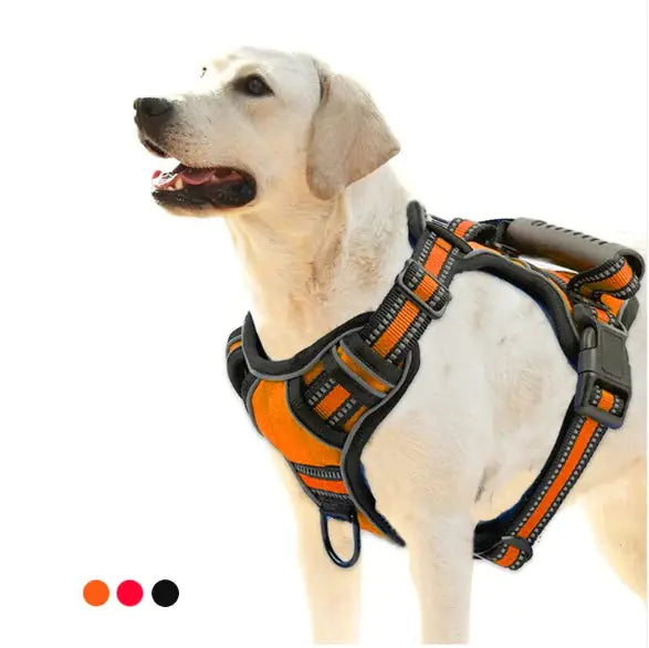 Pet Harness Vest - Pawluxe