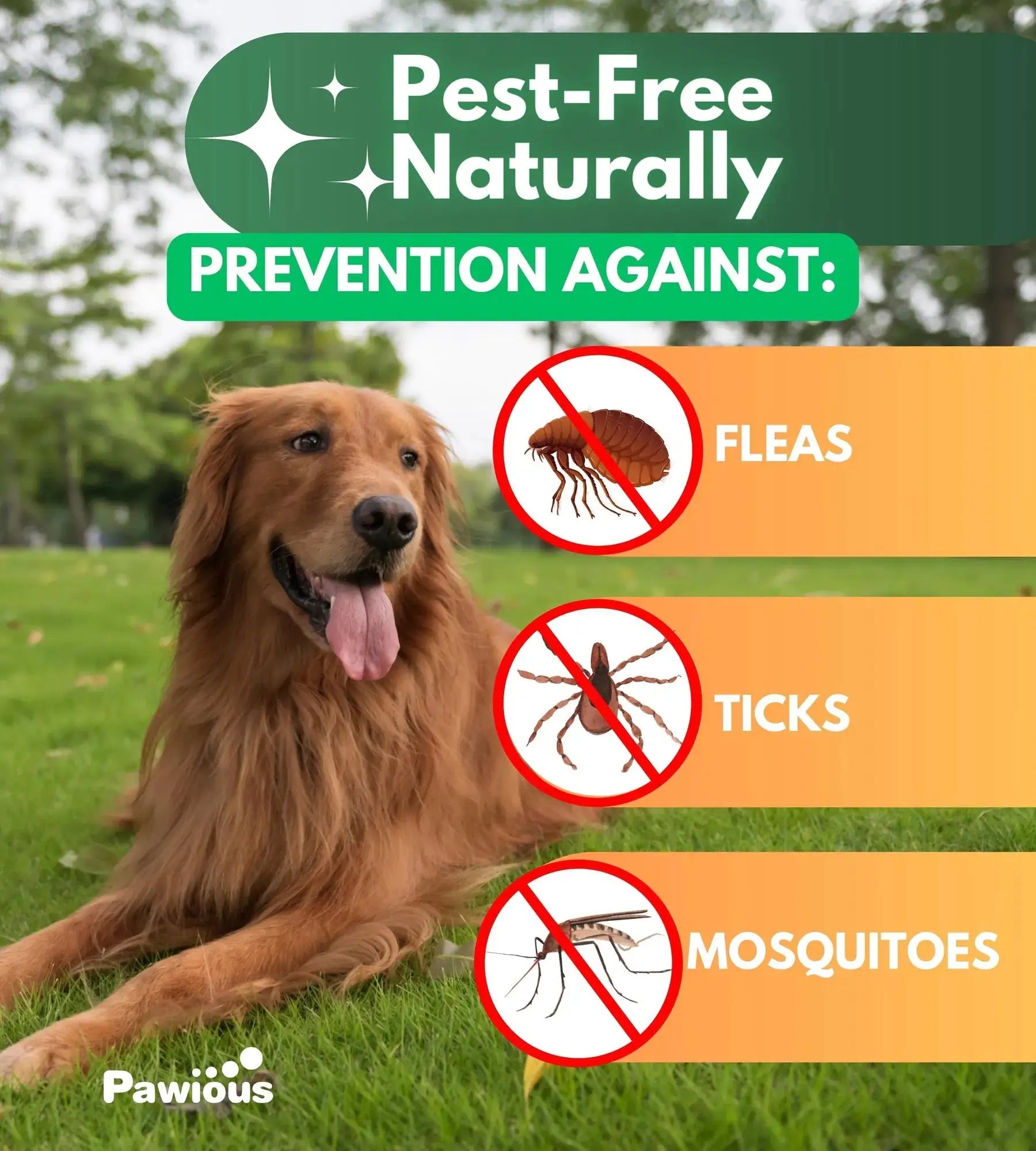 Flea And Tick Prevention For Dogs Chewables Natural Dog Flea And Tick Control Supplement Flea & Tick Chews For Dogs Oral Flea Pills For Dogs Pest Defense All Life Stages CANNOT Be Listed For Sale On A
