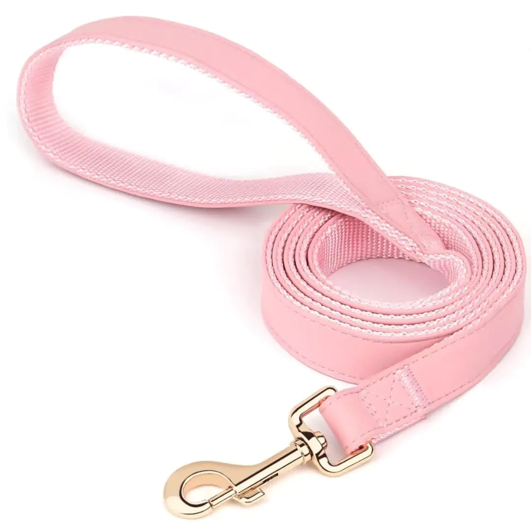 PET ARTIST Leather Dog Leash Colorful Leather Leash 5ft by 3/4in Heavy Duty Dog Leash with Aluminum Hook Walking and Training Dog Leashes for Small Medium Large DogsPink